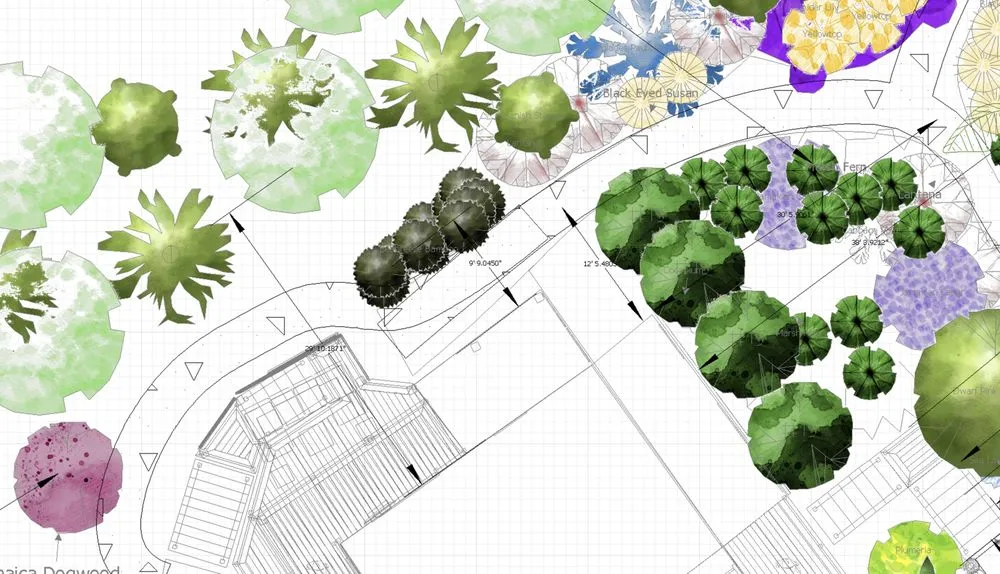 Expert lawn care service in North Fort Myers, FL - Ecovision