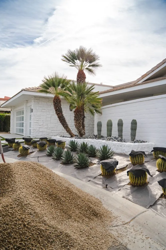 Reliable garden landscaping in Palm Desert, CA by Ecovista Landscape & Tree Co.