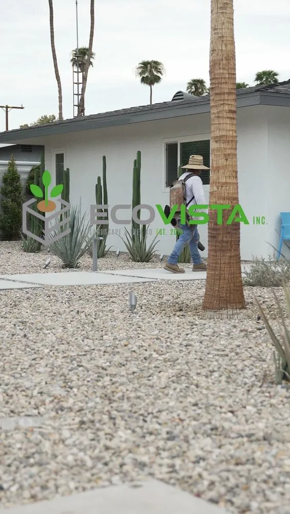 Affordable outdoor landscaping in Palm Desert, CA by Ecovista Landscape & Tree Co.