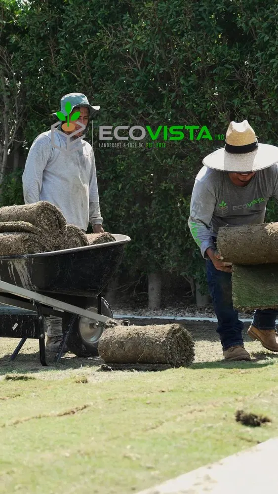 Expert landscaping services experts serving Palm Desert, CA - Ecovista Landscape & Tree Co.