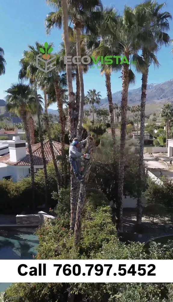 Local garden landscaping near you in Palm Desert, CA by Ecovista Landscape & Tree Co.