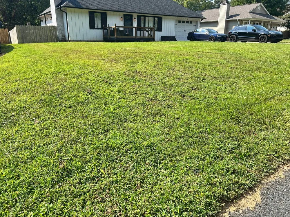 Professional landscaping services experts serving Lexington, NC - Ecovista Lawn Care & Landscaping