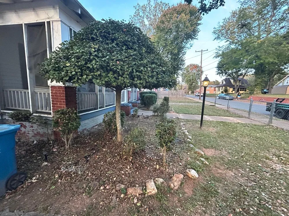 Trusted yard maintenance in Lexington, NC - Ecovista Lawn Care & Landscaping