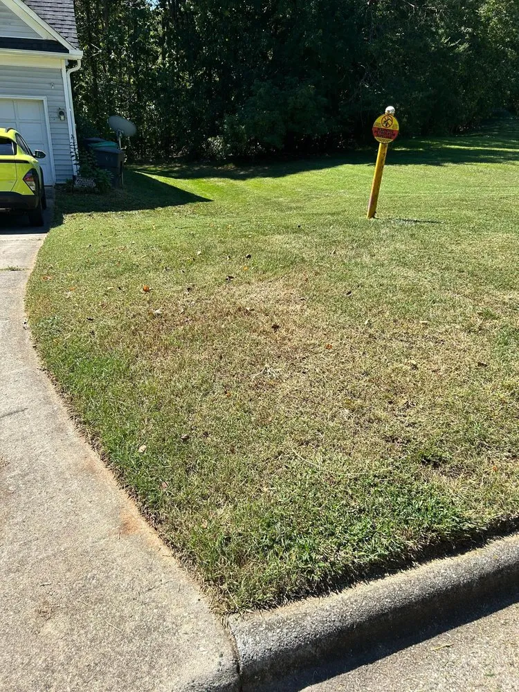 Affordable landscape design in Lexington, NC by Ecovista Lawn Care & Landscaping