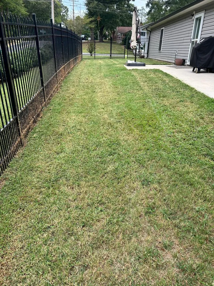 Reliable residential landscaping for outdoor upgrades across Lexington, NC - Ecovista Lawn Care & Landscaping