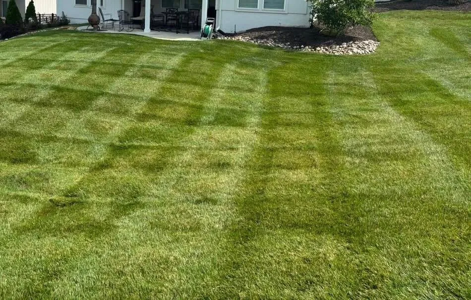 Reliable yard maintenance in Lexington, NC by Ecovista Lawn Care & Landscaping