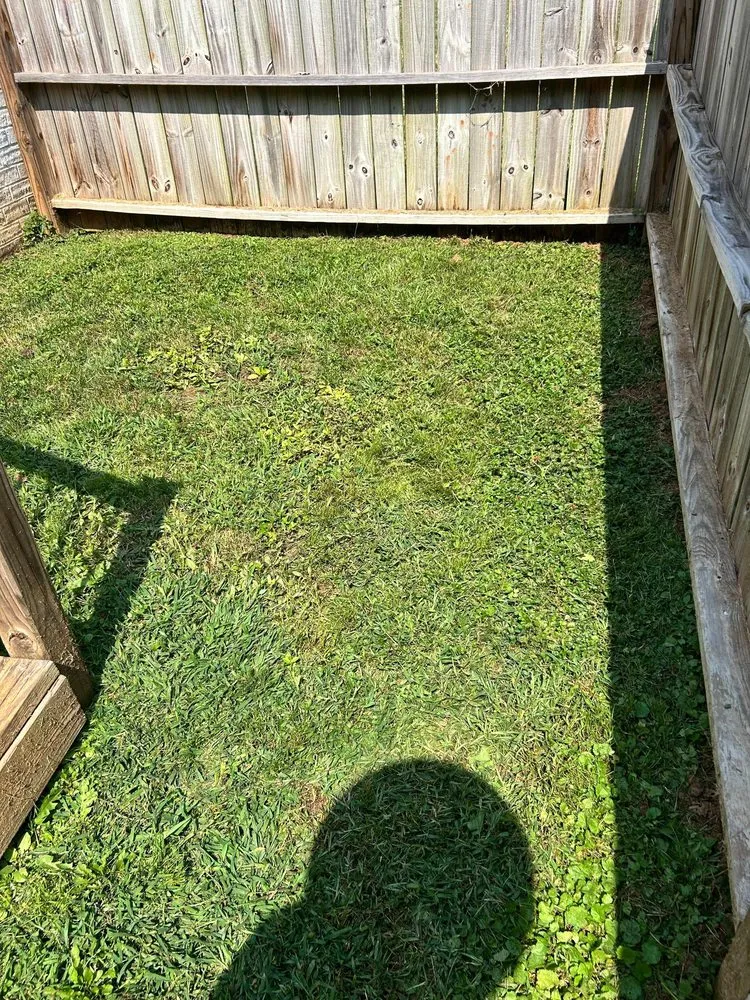 Top-rated landscaping services experts serving Lexington, NC - Ecovista Lawn Care & Landscaping