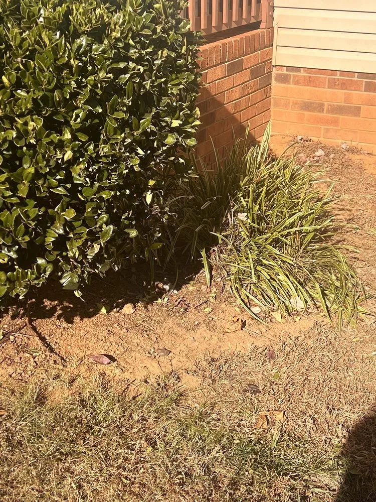 Local residential landscaping for homes across Lexington, NC - Ecovista Lawn Care & Landscaping