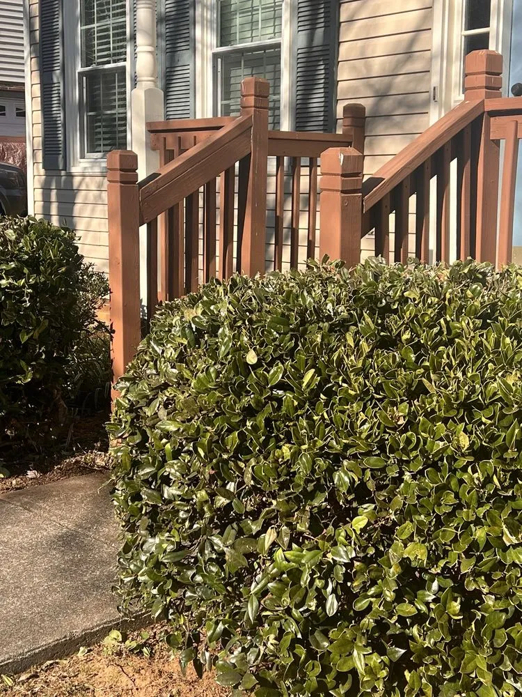 Top-rated residential landscaping with custom design in Lexington, NC by Ecovista Lawn Care & Landscaping