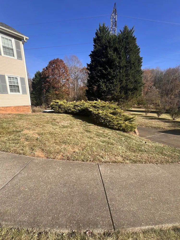 Professional lawn care service for beautiful yards across Lexington, NC - Ecovista Lawn Care & Landscaping