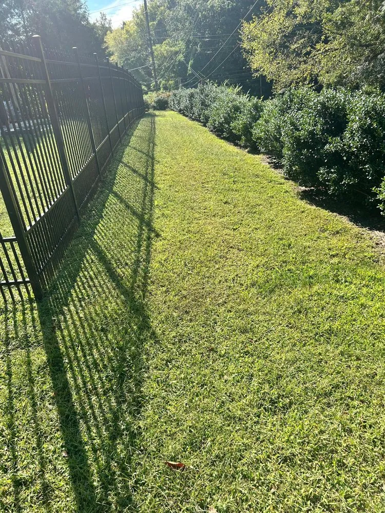 Trusted landscape installation in Lexington, NC by Ecovista Lawn Care & Landscaping