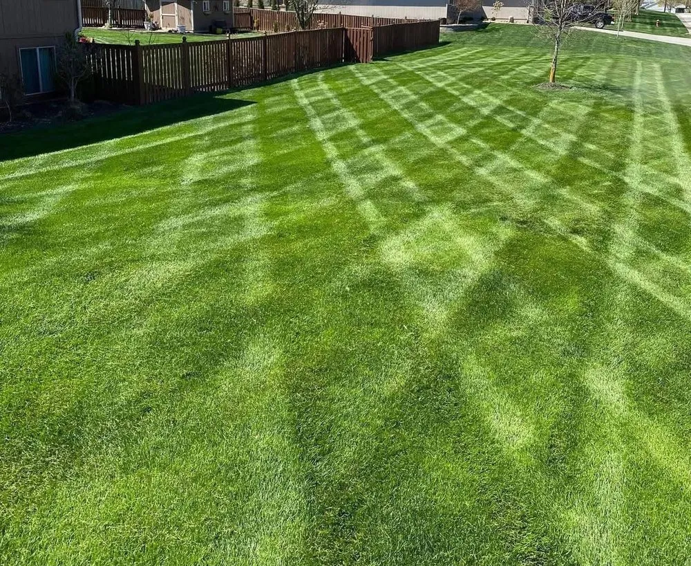 Local outdoor landscaping for homes across Lexington, NC - Ecovista Lawn Care & Landscaping