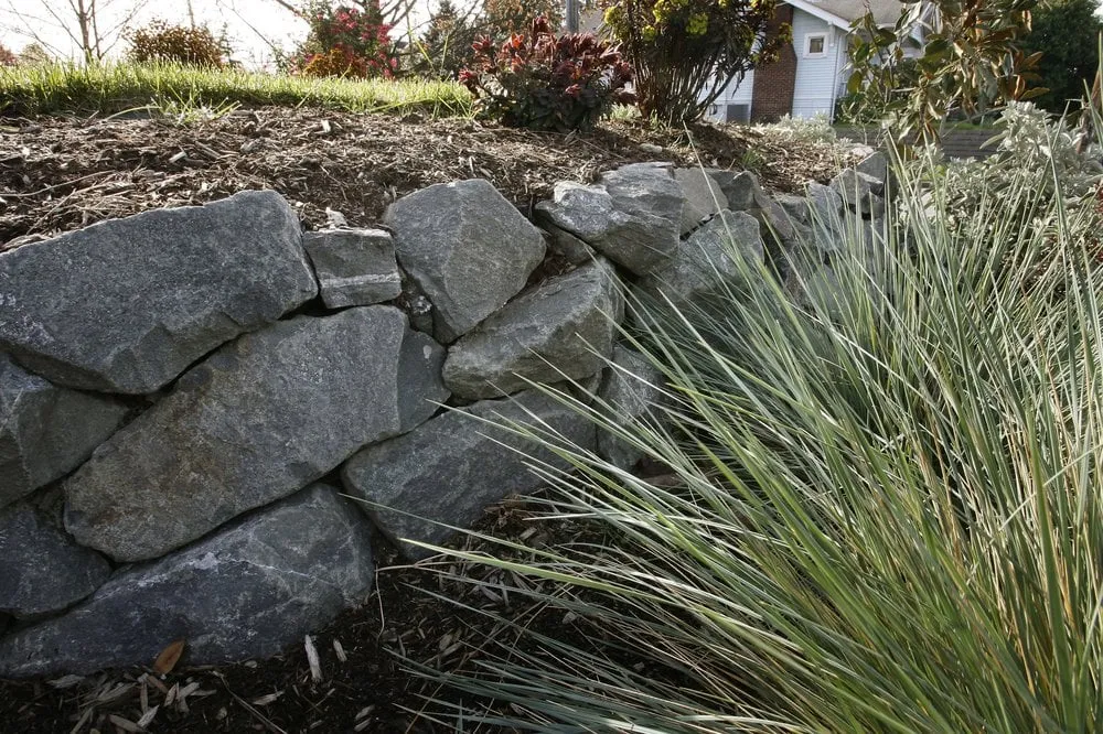 Reliable residential landscaping for residential properties in Seattle, WA by Ecoyards