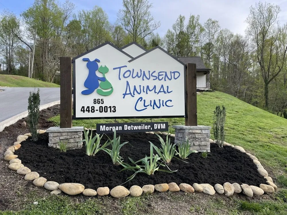 Local yard cleanup service in Seymour, TN - ECR Total Landscapes