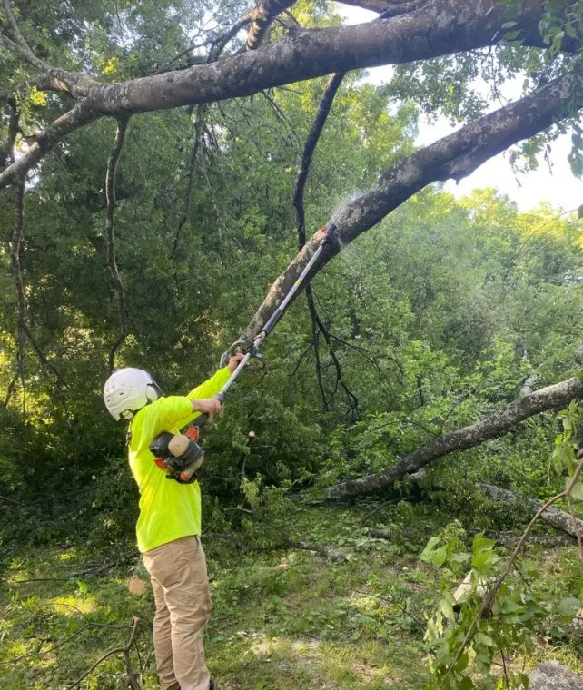 Reliable landscaping services for beautiful yards across Seymour, TN - ECR Total Landscapes