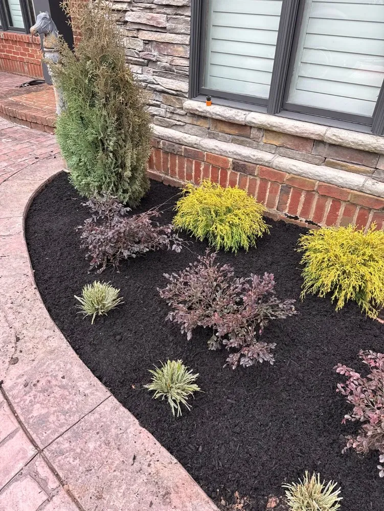 Top-rated landscaping services for year-round maintenance in Seymour, TN by ECR Total Landscapes