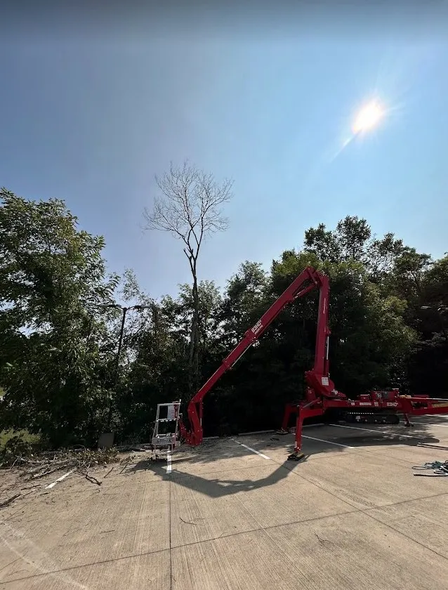 Custom yard cleanup service in Seymour, TN by ECR Total Landscapes