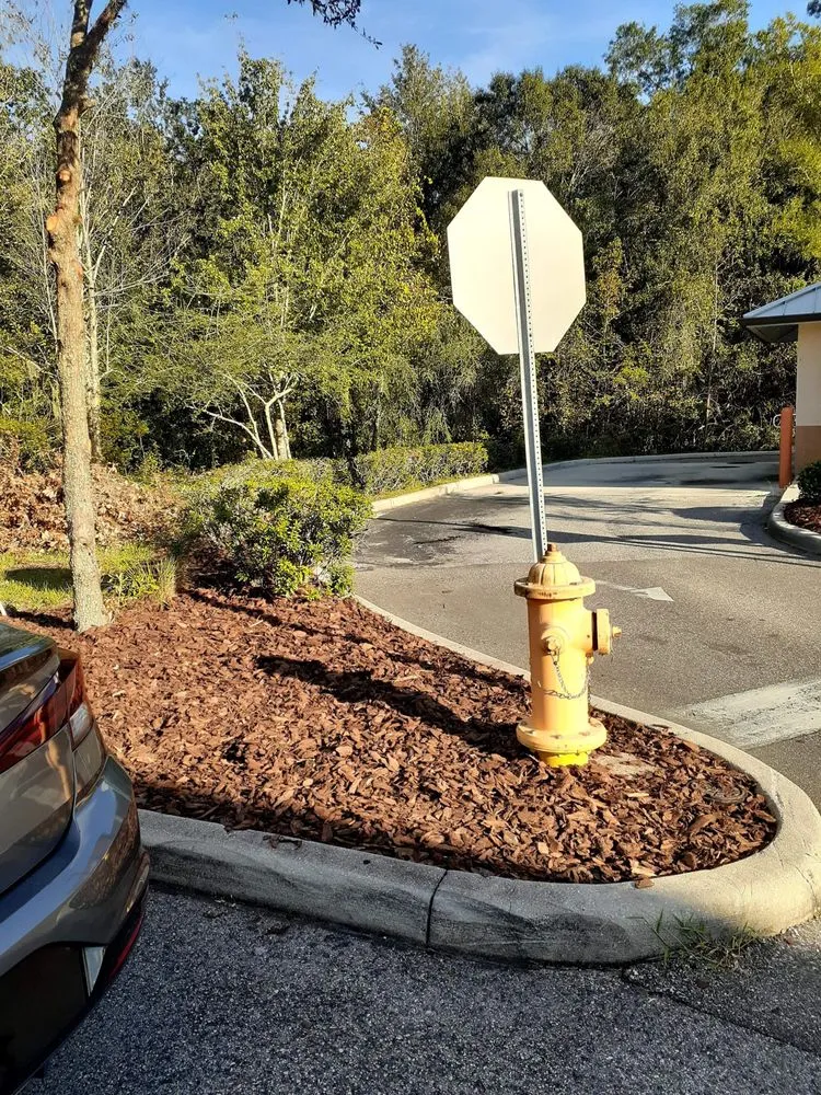 Local yard cleanup service in Masaryktown, FL - Ecstatic Landscaping