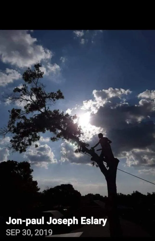 Affordable outdoor landscaping in Masaryktown, FL - Ecstatic Landscaping