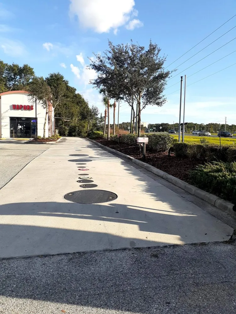 Professional landscape design experts serving Masaryktown, FL - Ecstatic Landscaping