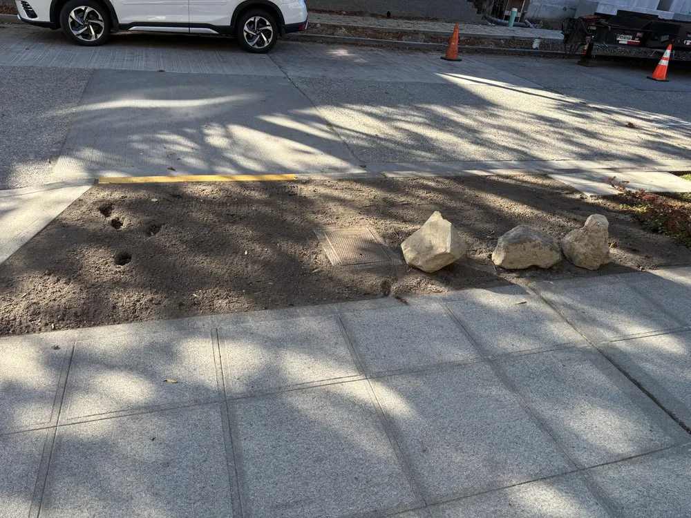 Custom yard maintenance experts serving Kenmore, WA - Ecua Landscaping & Construction