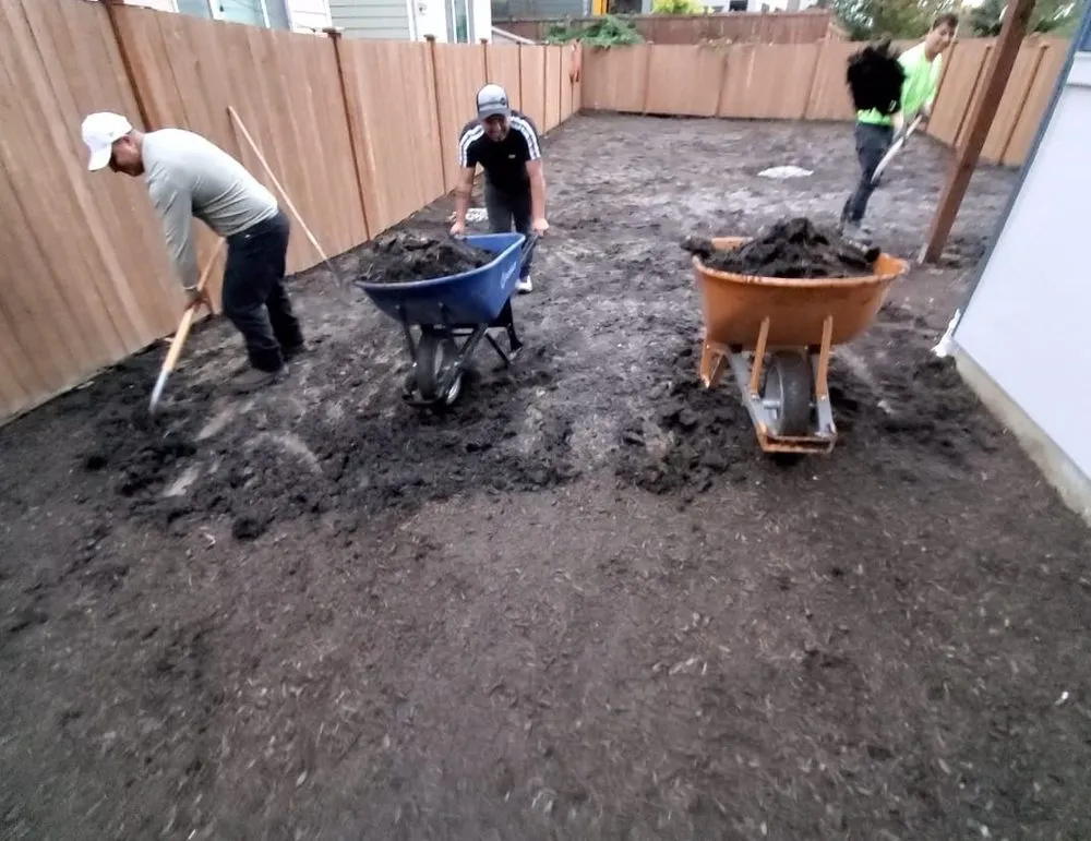 Professional yard cleanup service with custom design across Kenmore, WA - Ecua Landscaping & Construction