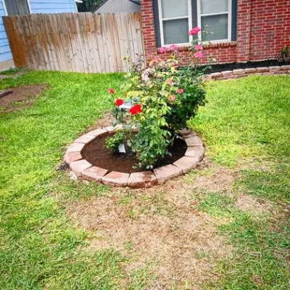 Local lawn mowing service with custom design across San Antonio, TX - Ed & Sons Handyman and Landscaping