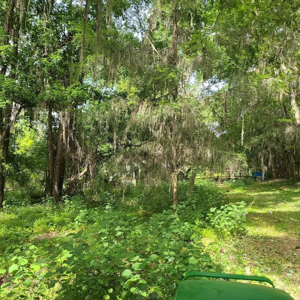 Top-rated lawn care service experts serving Dunnellon, FL - Ed Earl's Bush Hog service