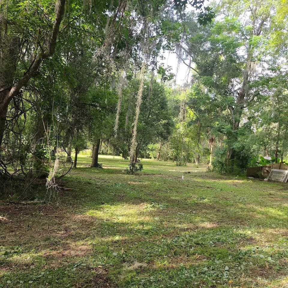 Affordable yard cleanup service in Dunnellon, FL by Ed Earl's Bush Hog service