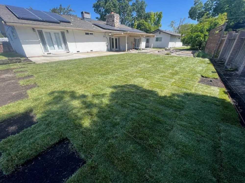 Affordable yard cleanup service experts serving Manteca, CA - Ed Landscape Concrete Construction