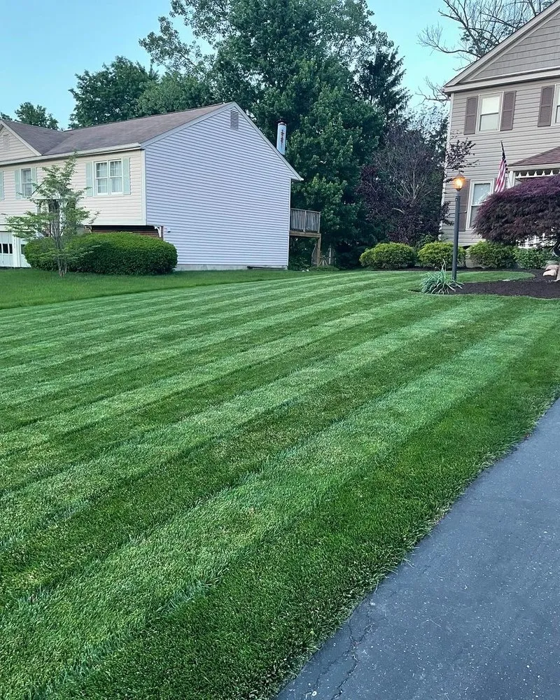Top-rated yard cleanup service experts serving Boonsboro, MD - E&D Landscaping & Construction Services