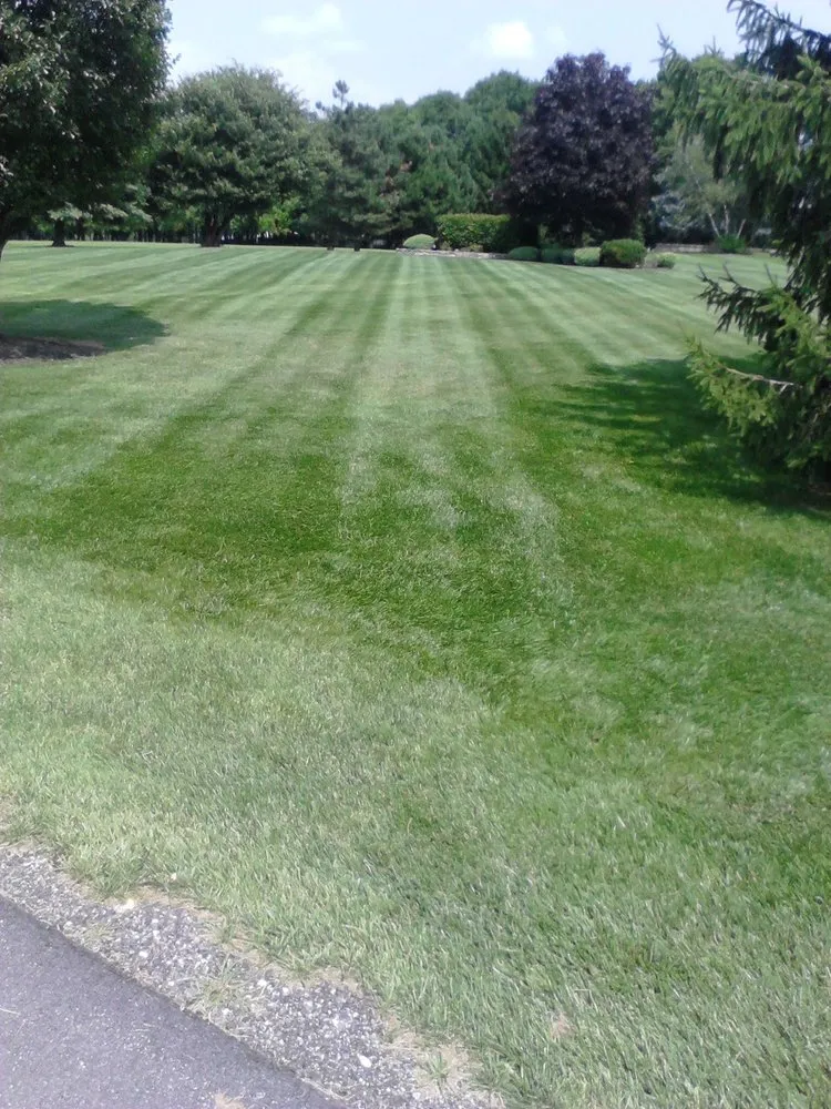 Local lawn care service experts serving Boonsboro, MD - E&D Landscaping & Construction Services