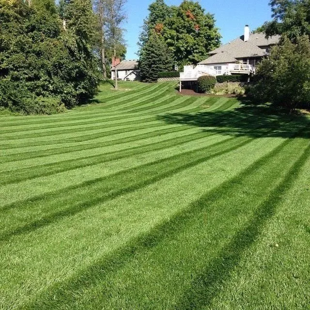 Expert landscaping services in Boonsboro, MD by E&D Landscaping & Construction Services
