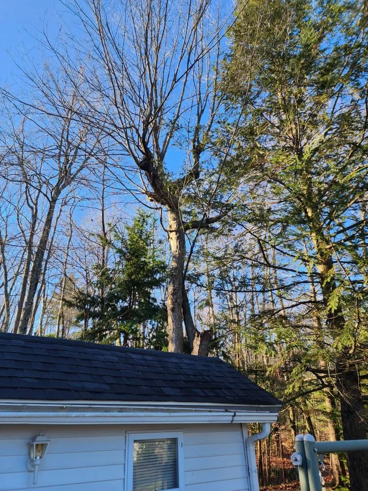 Local yard maintenance in Merrimack, NH - E&D Landscaping