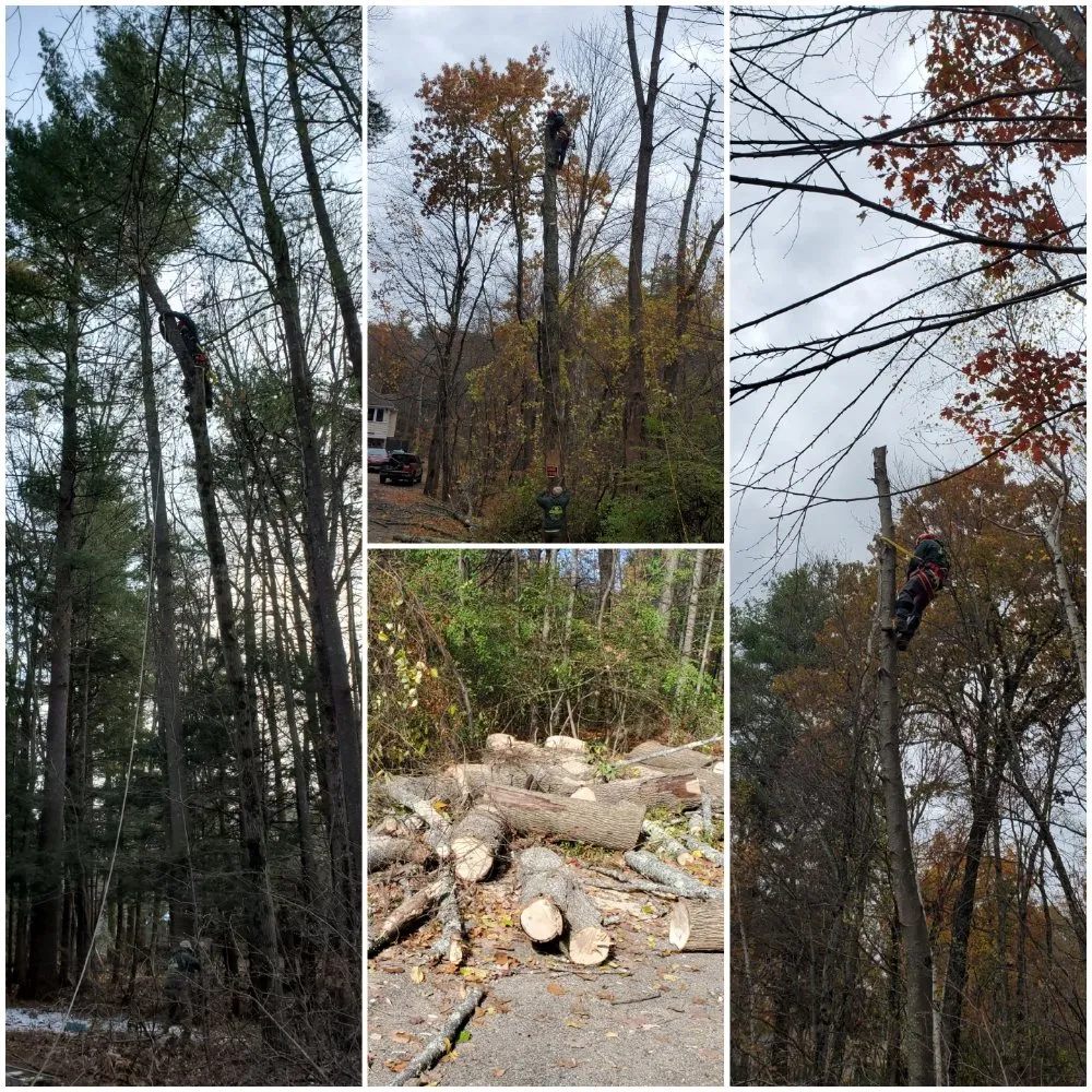 Custom garden landscaping in Merrimack, NH by E&D Landscaping