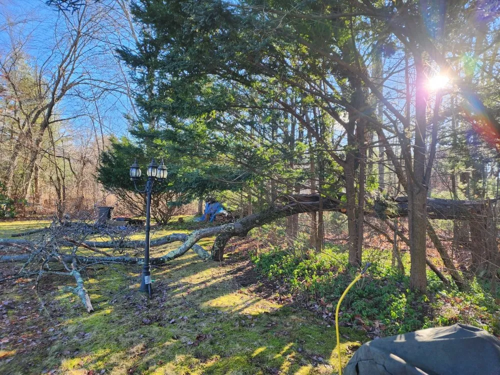 Top-rated lawn care service experts serving Merrimack, NH - E&D Landscaping