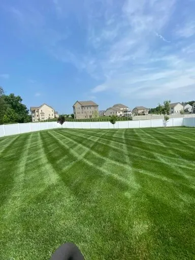 Local garden landscaping in Wheaton, MD by E&D landscaping