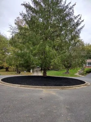 E&D landscaping