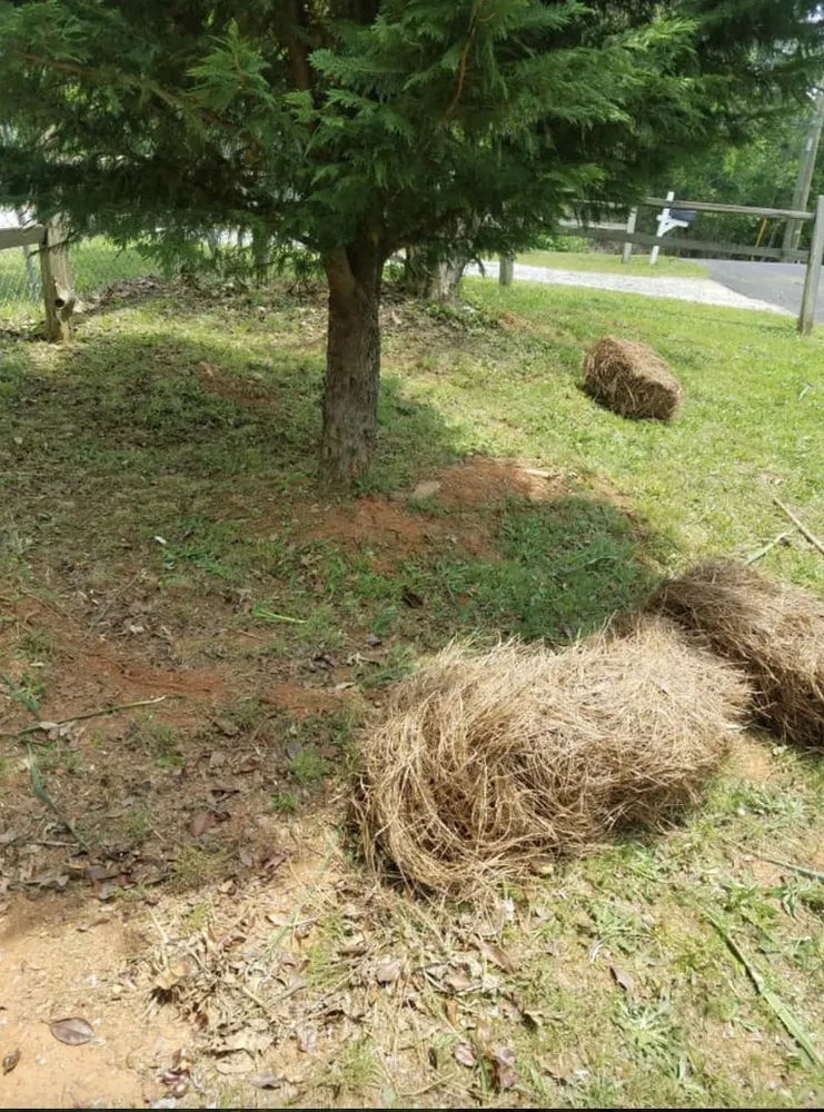 Top-rated landscaping services for beautiful yards across Gainesville, GA - E&D Lawn Care and Landscaping Services