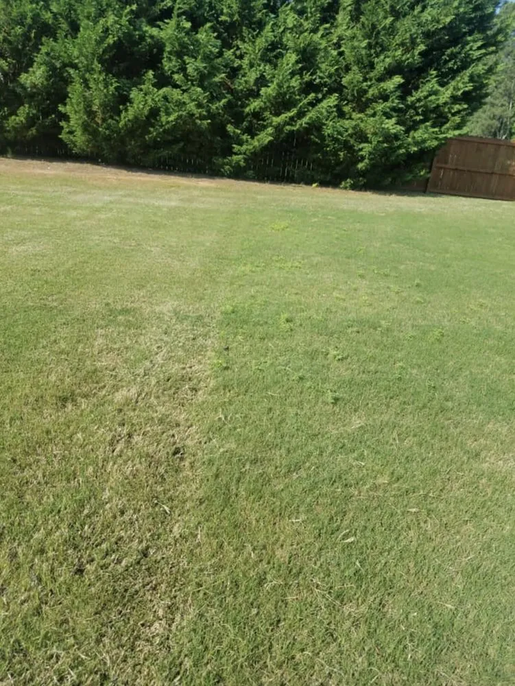 Top-rated residential landscaping in Gainesville, GA by E&D Lawn Care and Landscaping Services