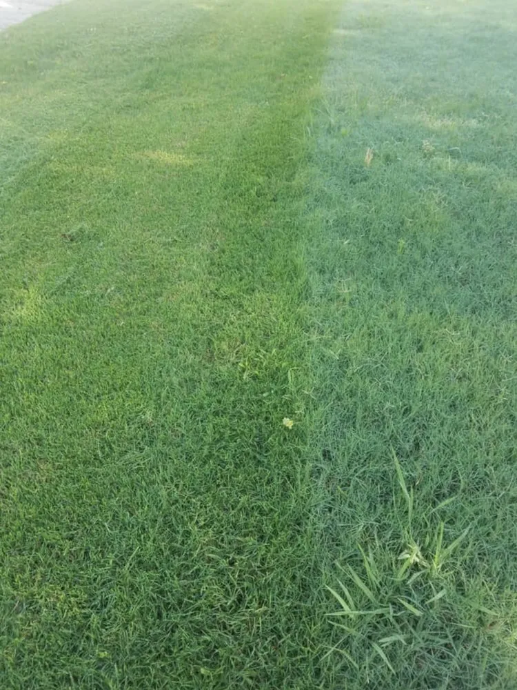 Trusted lawn mowing service in Gainesville, GA - E&D Lawn Care and Landscaping Services