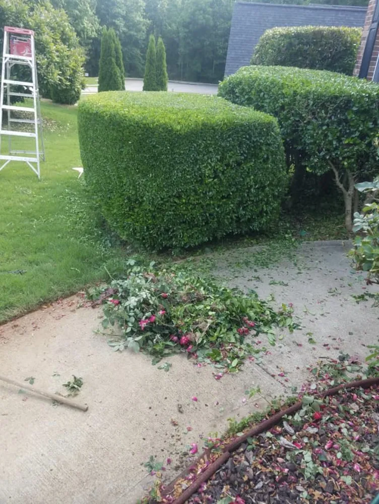 Expert lawn care service in Gainesville, GA - E&D Lawn Care and Landscaping Services