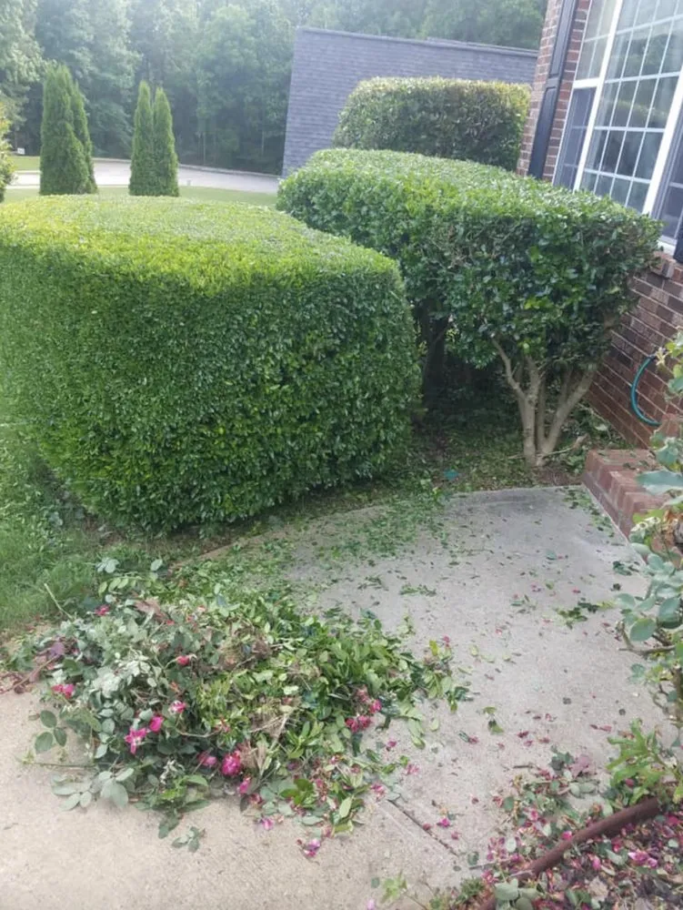 Affordable residential landscaping in Gainesville, GA - E&D Lawn Care and Landscaping Services