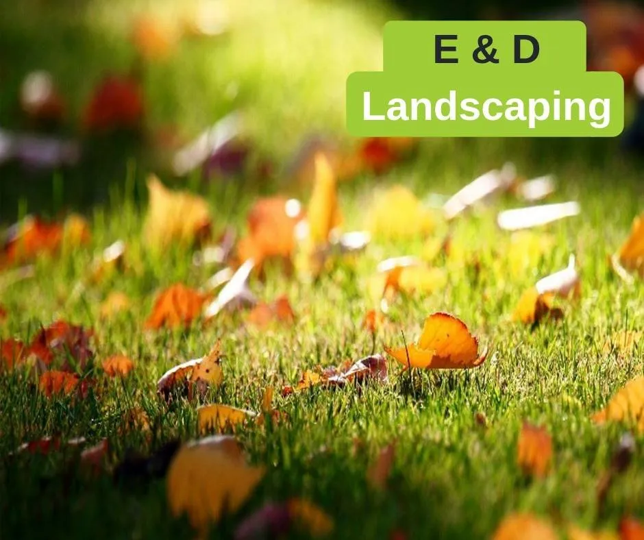 Top-rated garden landscaping in Gainesville, GA by E&D Lawn Care and Landscaping Services