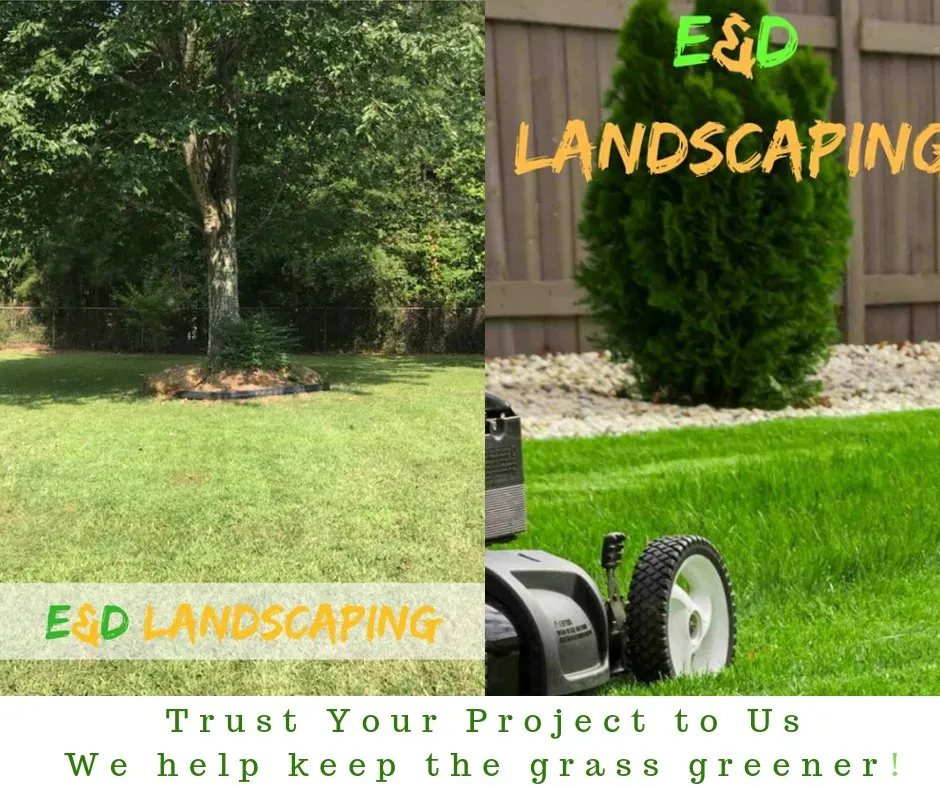 Custom yard maintenance in Gainesville, GA by E&D Lawn Care and Landscaping Services