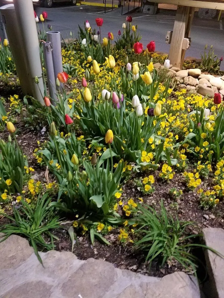 Professional garden landscaping for homes in Gainesville, GA by E&D Lawn Care and Landscaping Services