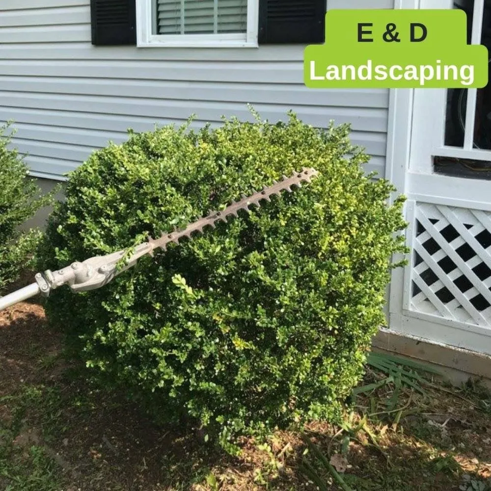 Reliable lawn care service for beautiful yards in Gainesville, GA by E&D Lawn Care and Landscaping Services