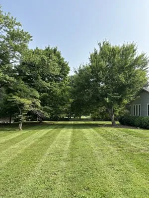 E&D Lawn Services Logo