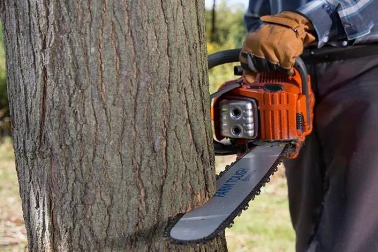 Local outdoor landscaping experts serving Providence, RI - ED Professional Tree Service