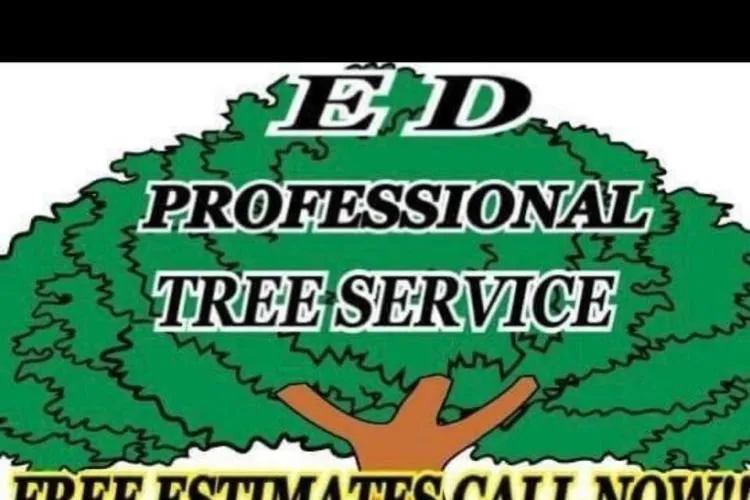 Reliable landscape installation with custom design in Providence, RI by ED Professional Tree Service